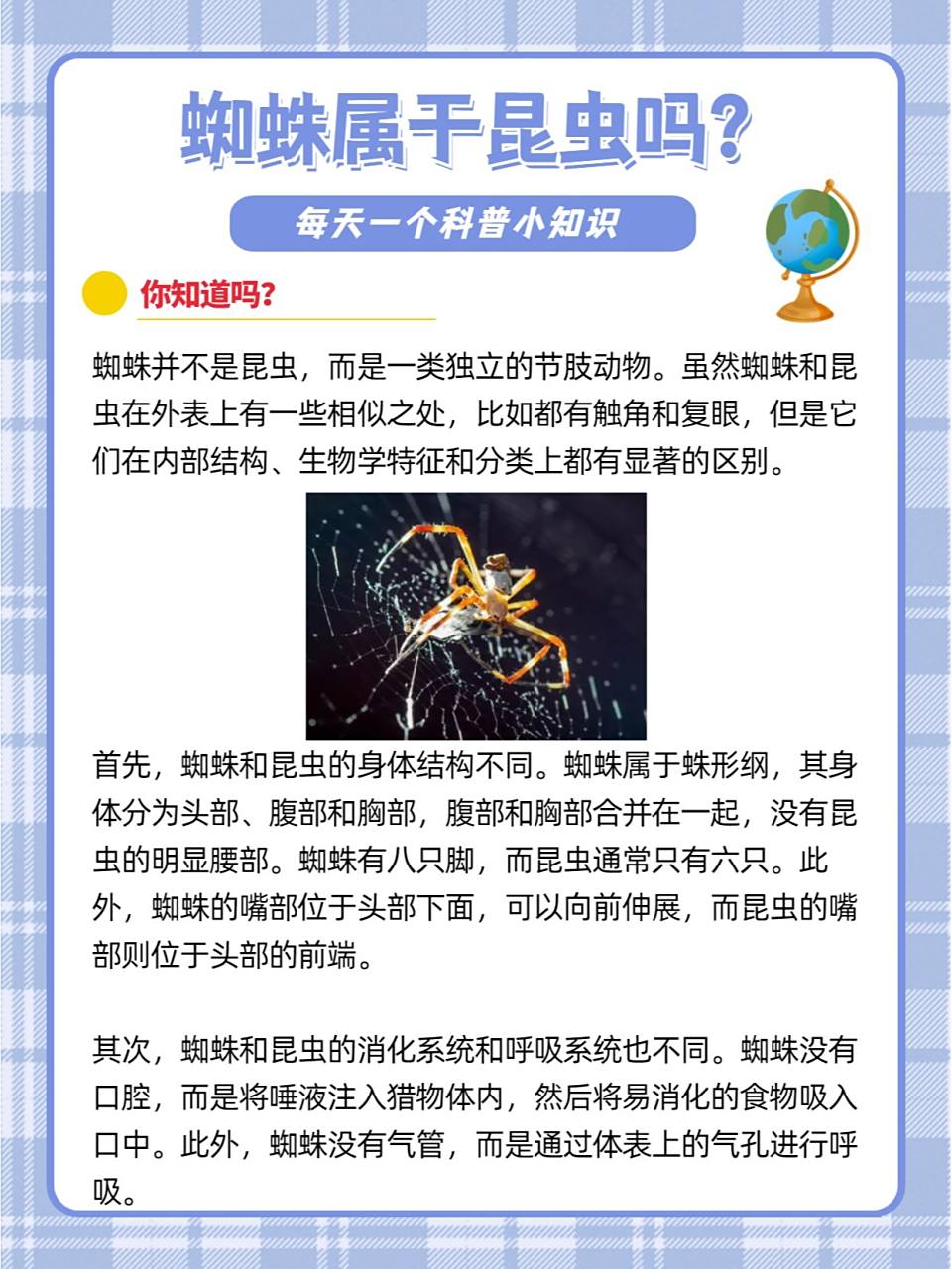 蜘蛛属于昆虫吗❓ 蜘蛛,在动物分类学中,属于节肢动物门,蛛形纲