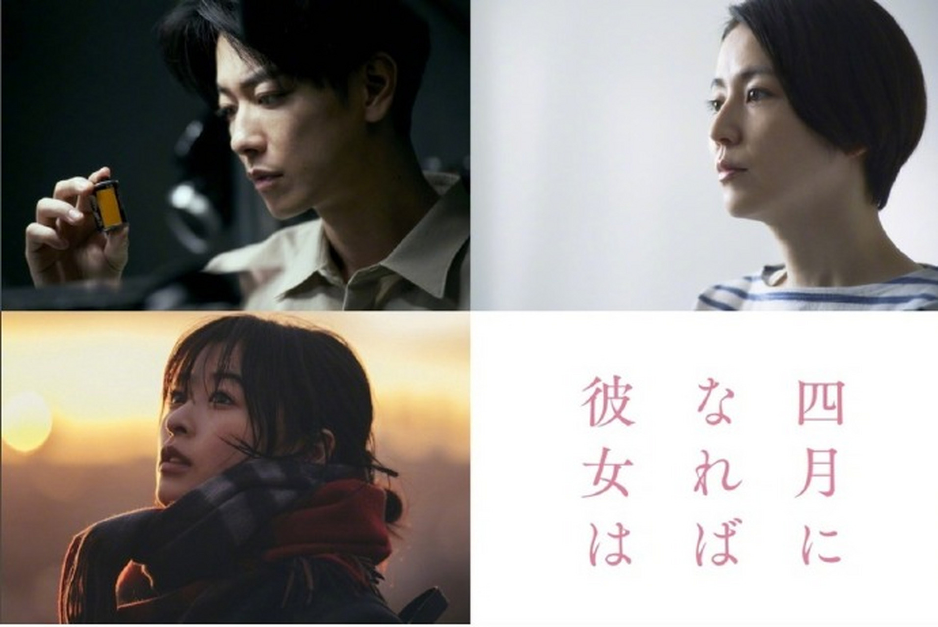 佐藤健,长泽雅美,森七菜首次合作纯爱电影《四月女友》,将于2024年3月