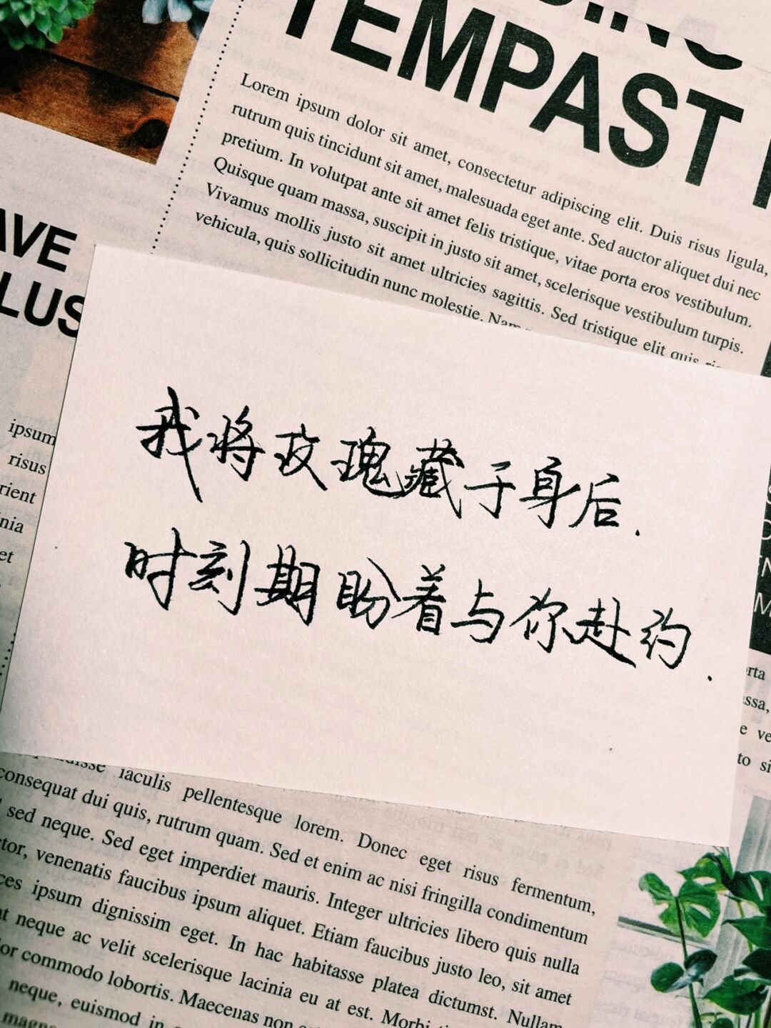 浪漫而不俗的简短文案