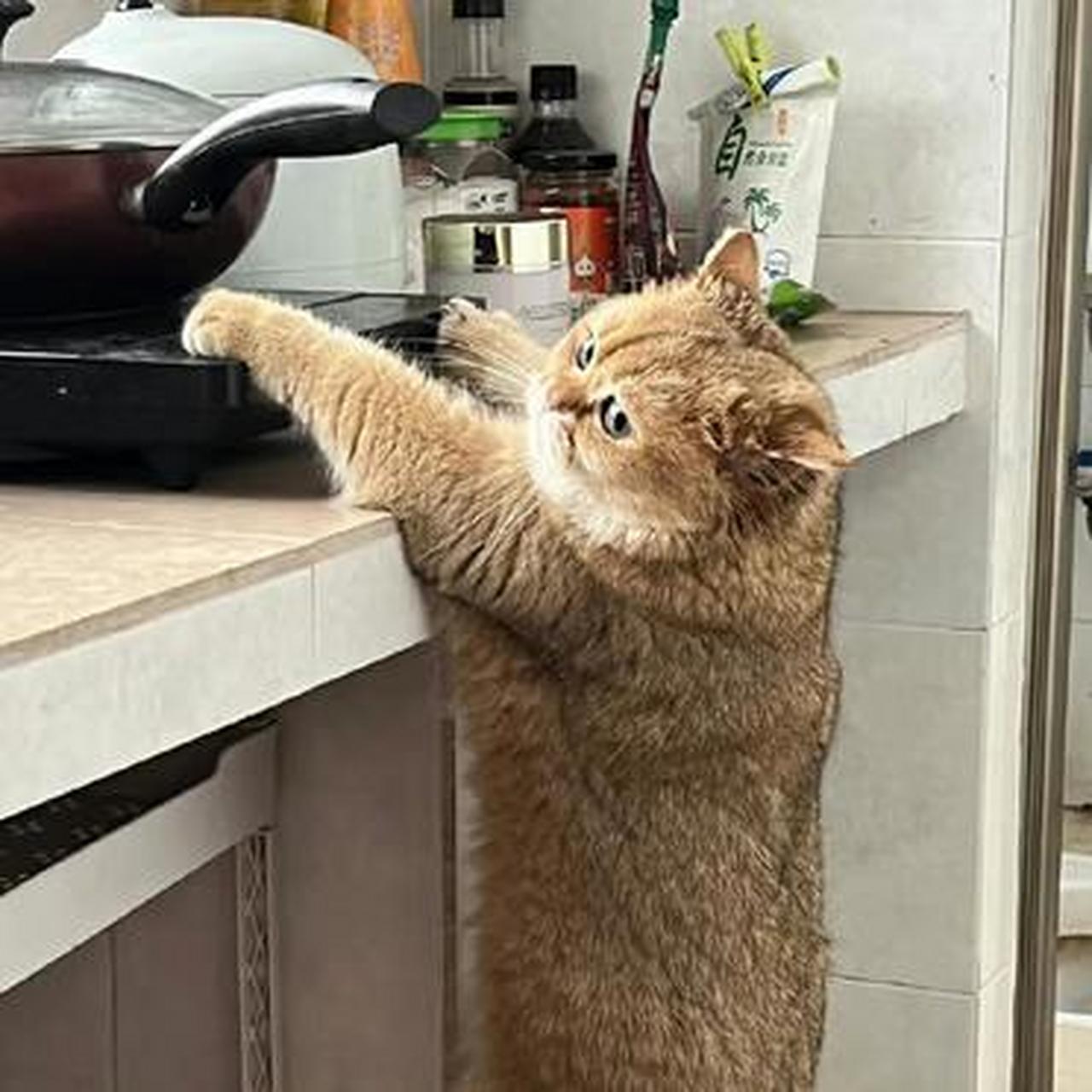 世上无难事,够不到就算了