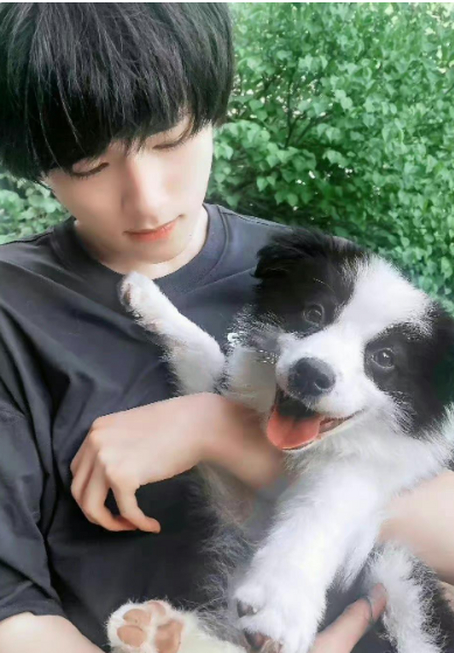 马嘉祺/宋亚轩/张真源 中戏1932都有自己的狗了,六斤是儿子,鼠标是