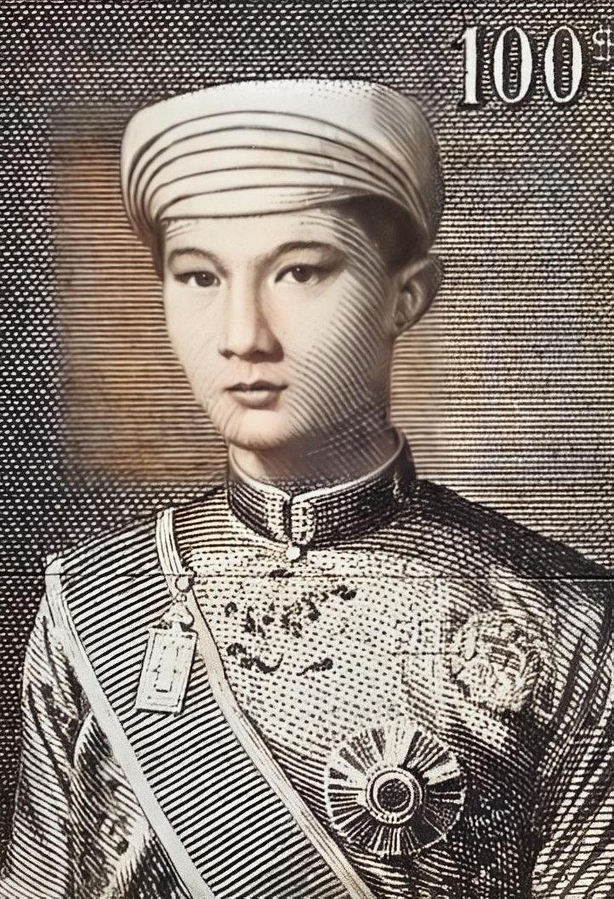 越南皇帝老照片图片