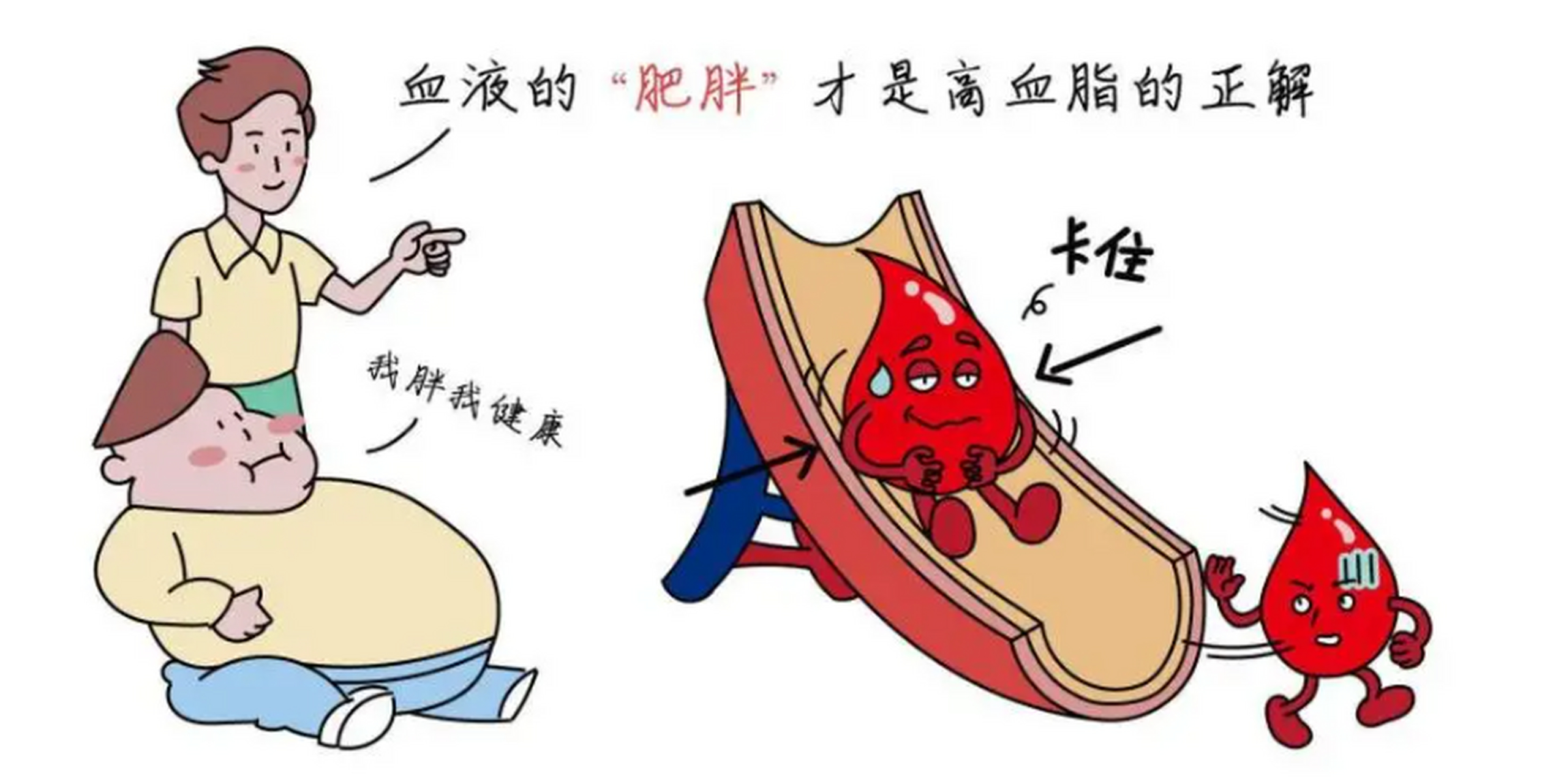 高血脂人群建议要控制体重:过度的体重会增加胆固醇的合成,从而导致