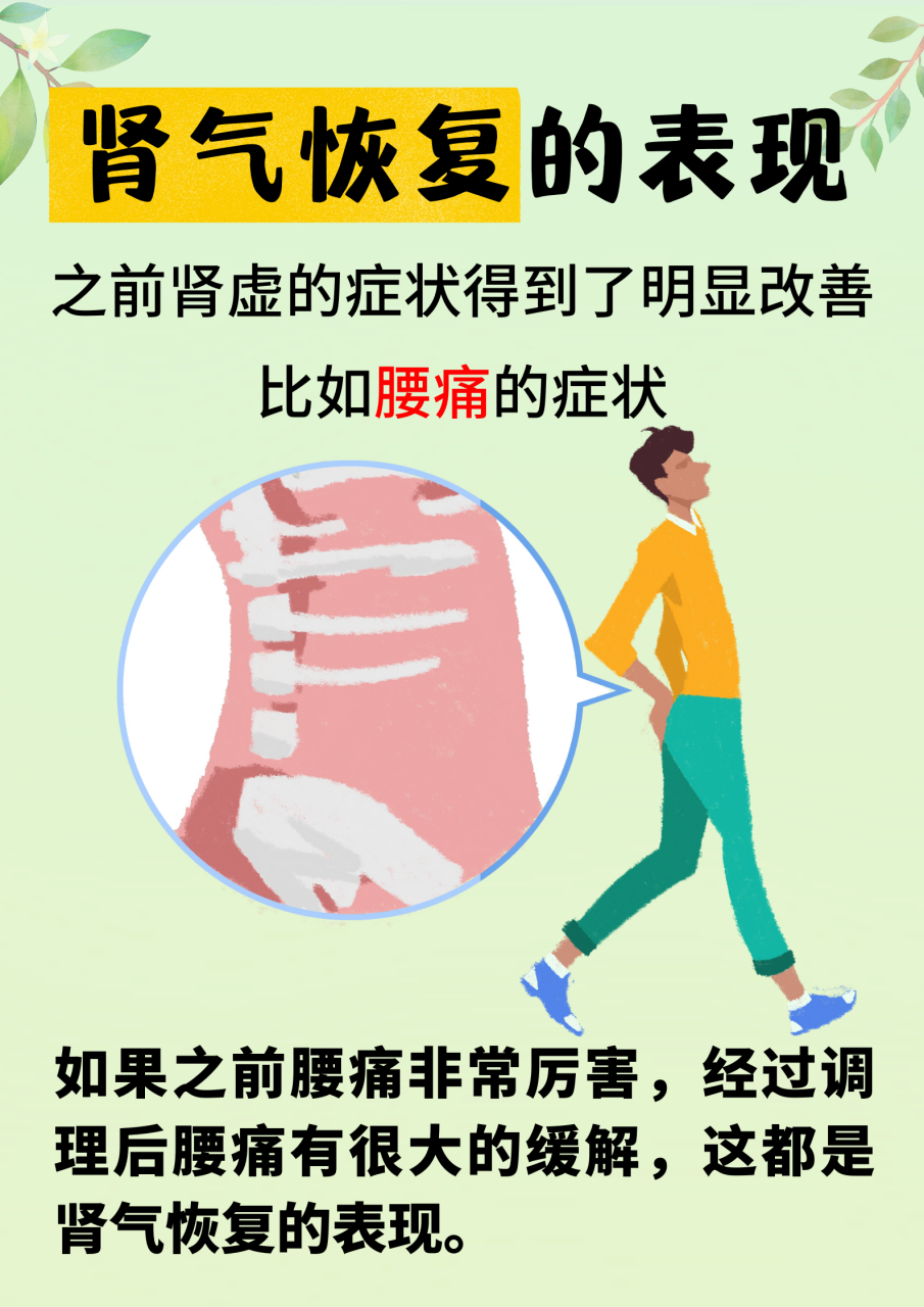 肾气恢复的表现也就是之前肾虚的症状得到了明显改善,比如腰痛的症状
