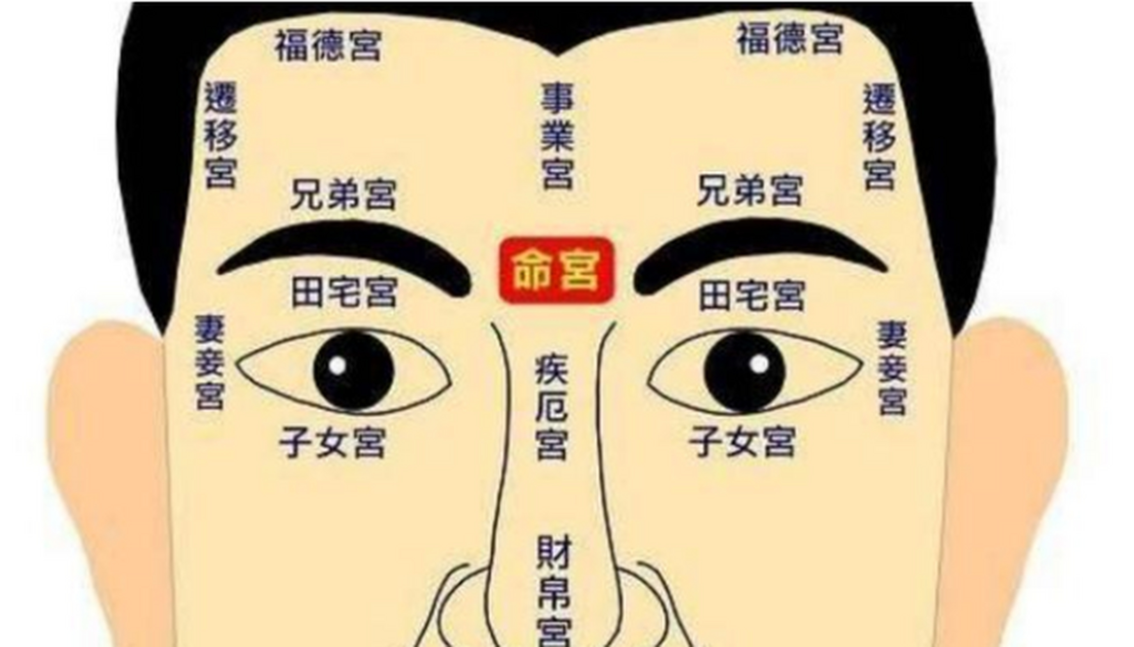 将军骨位置图片