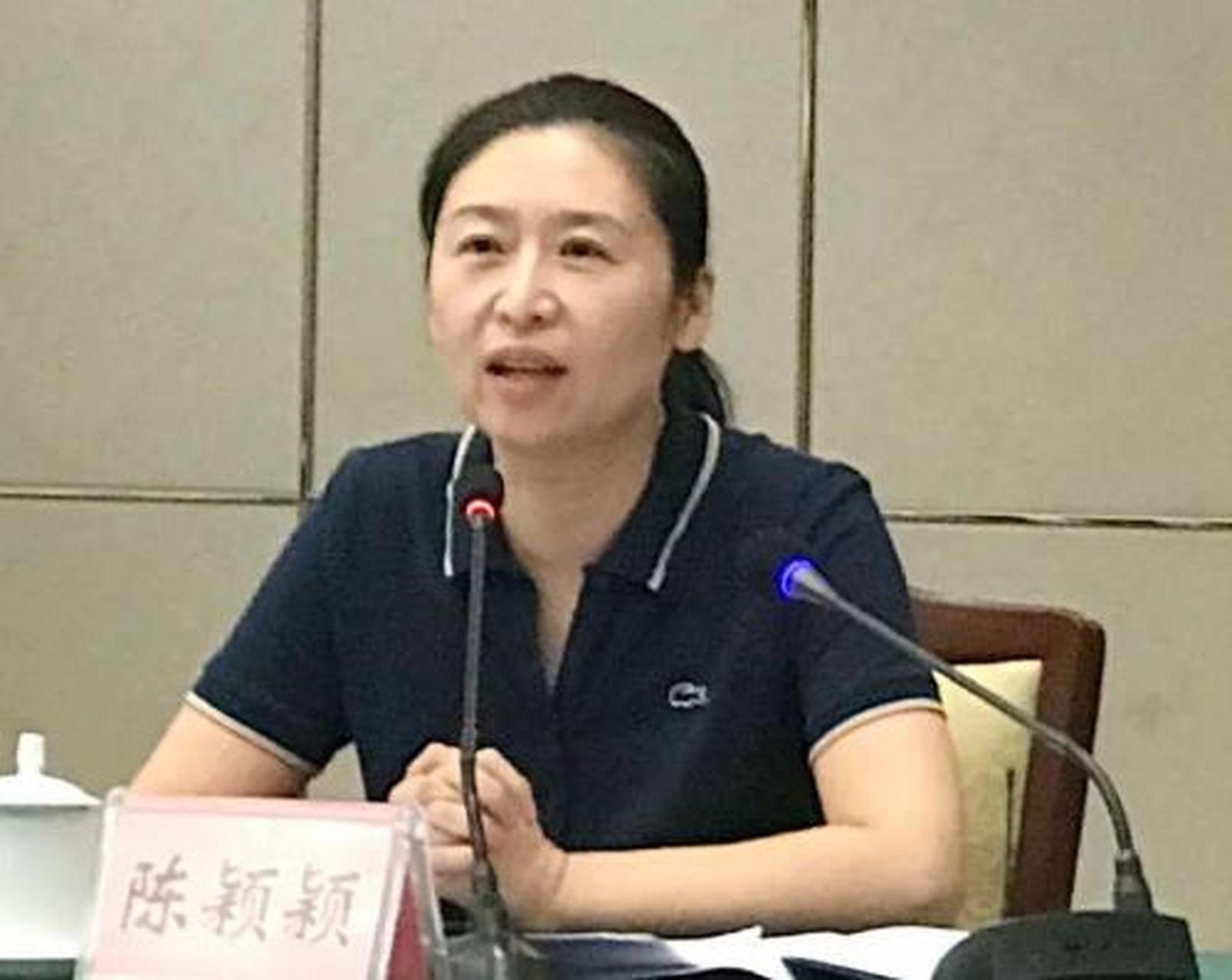 陈颖颖,一个既有颜值又有才华的女性,在此之前曾担任河南省政府发展