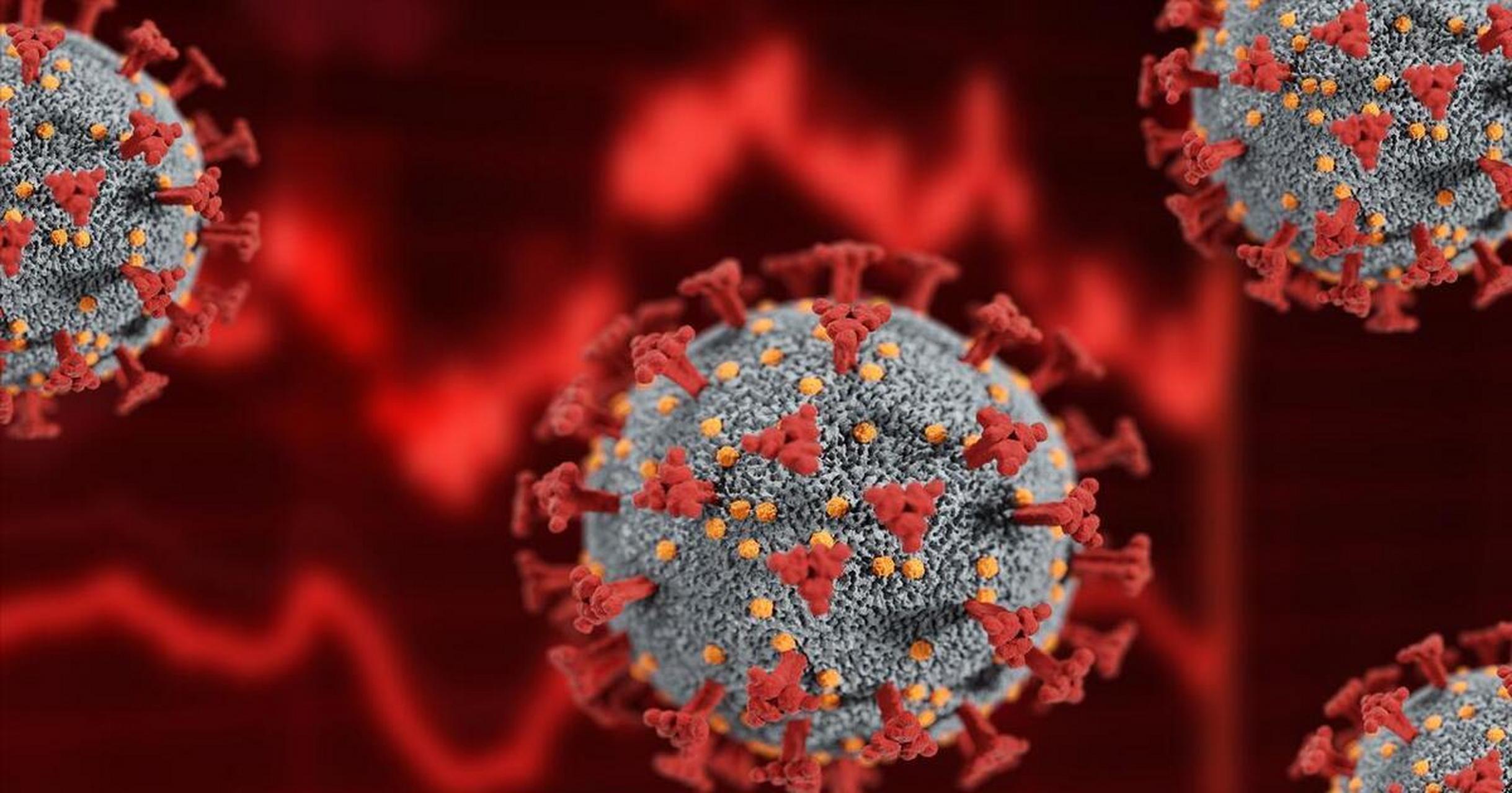 个特点,和上次略有不同,怎样治疗好得快显然这一波病毒正在形成流行中