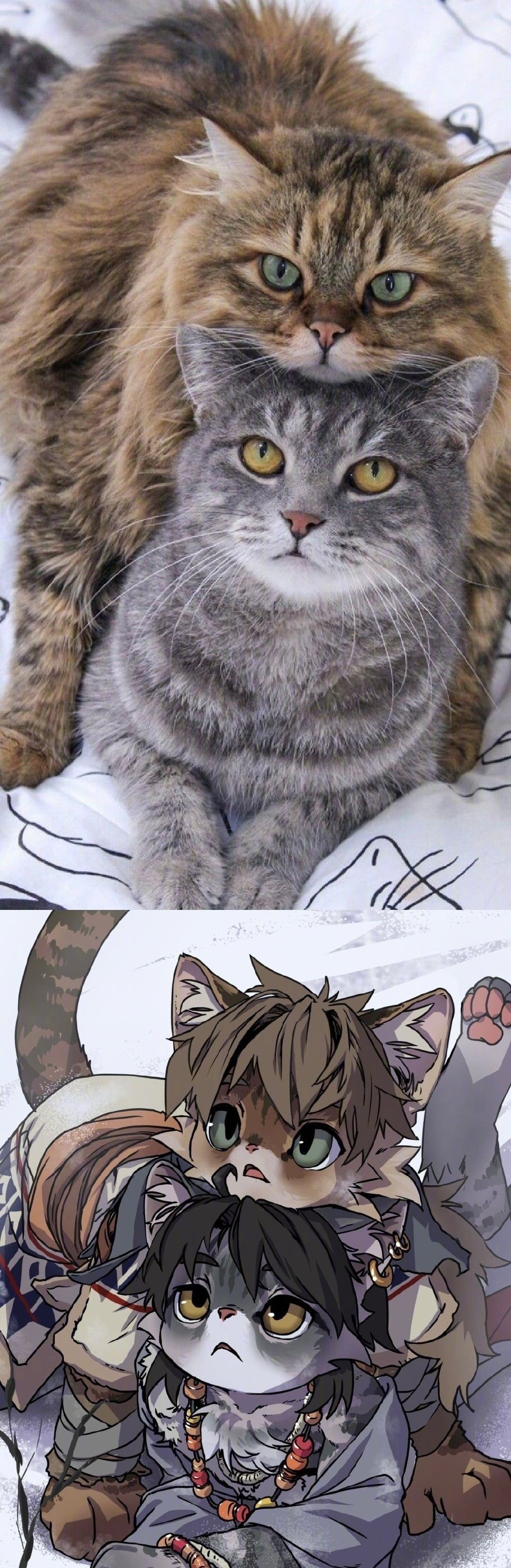 宠物拟人化,画出了灵魂 #漫画