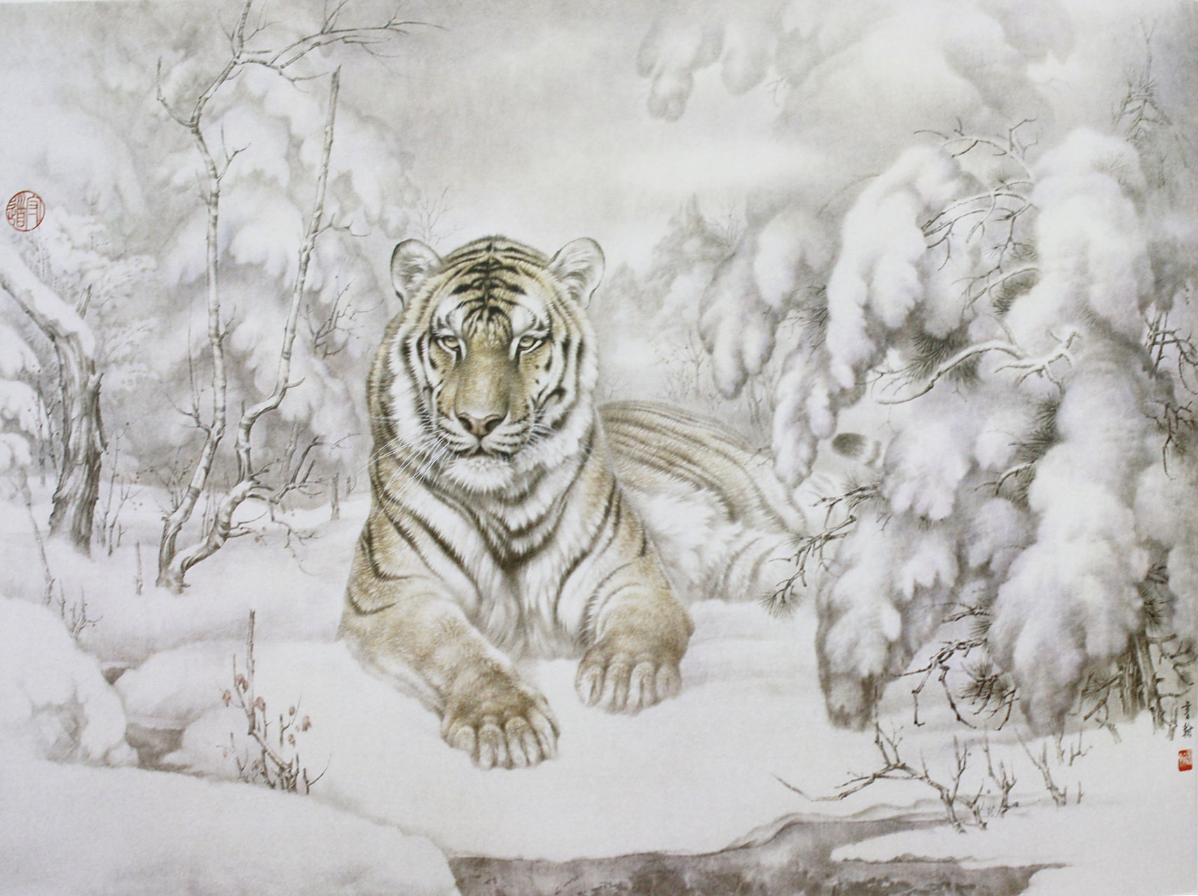 高清:田书翰老虎#工笔# #工笔画# #最美工笔画