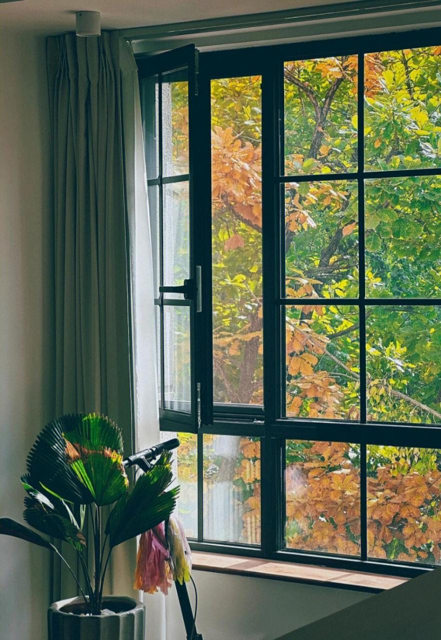 当初因为看到窗户外面的景色,才买了2楼 特意换了美丽仿钢窗,想着,能