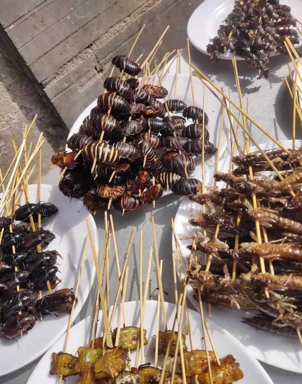 云南傣族的昆虫宴,看这就后怕吃下去需要多大勇气啊![二哈]