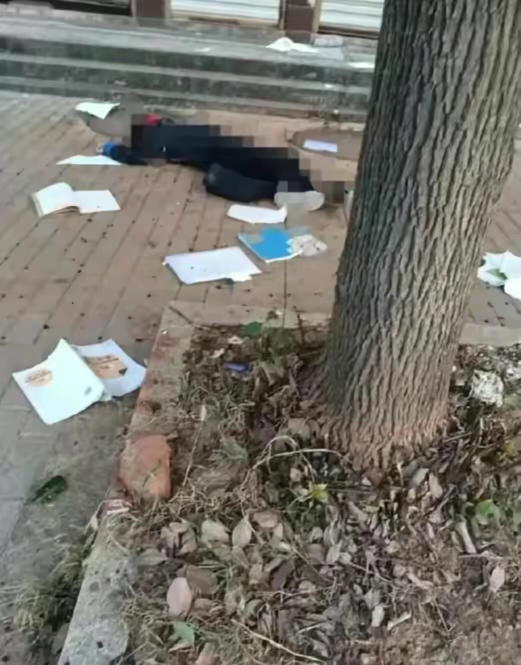 太悲伤了,10月19日晚,湖北襄阳长征路小学一小