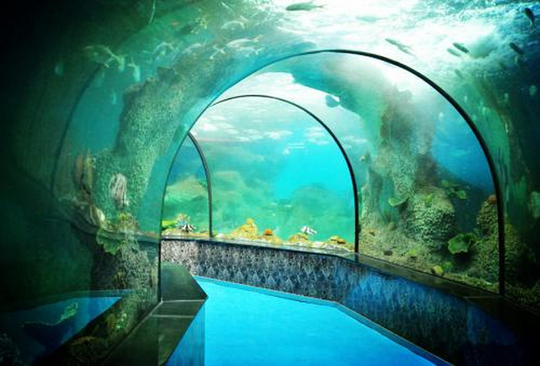 醉美邛崃诗意生活# #冬日旅行地图#  大明湖海底世界:大明湖海底世 