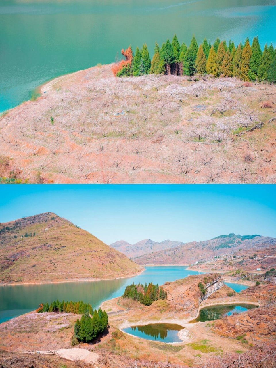 安顺普定桃花岛旁有个翡翠夜郎湖  距离贵阳市区1小时50分钟车程,赏花