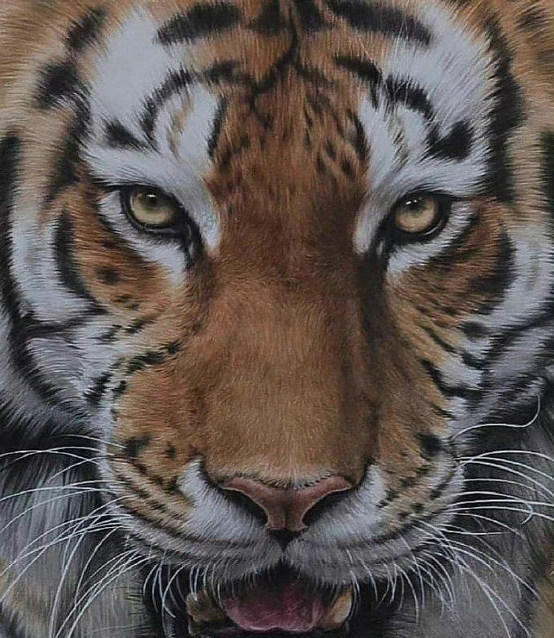 网友:每天和猛兽对视二分钟,猛兽的眼睛可以让你的眼神不再猥琐,雄心