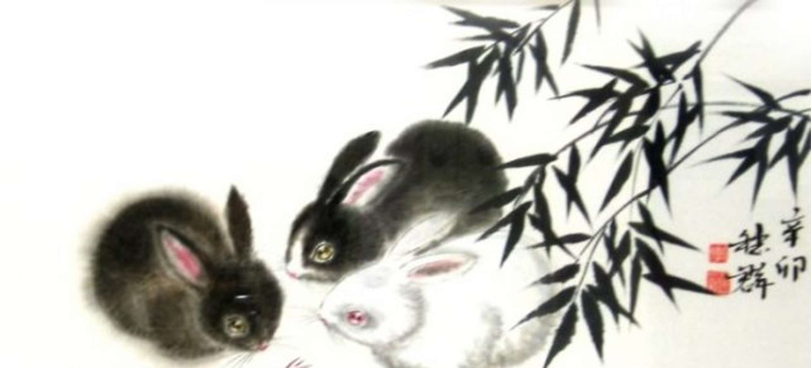 属鼠生肖的运势怎么样(属鼠生肖的运势怎么样女)