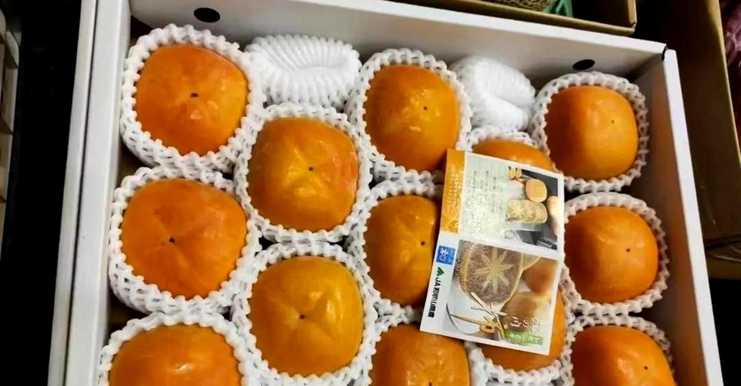 水果柿子批发价格多少