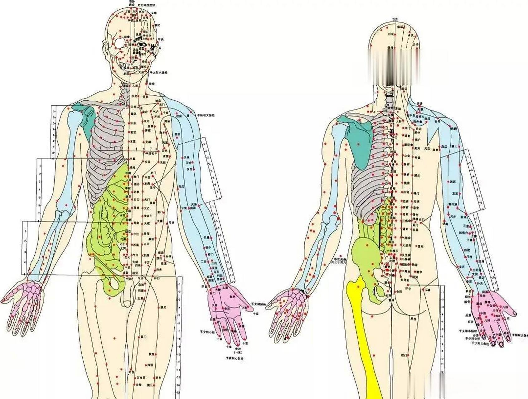 【经络堵塞】后有什么表现?