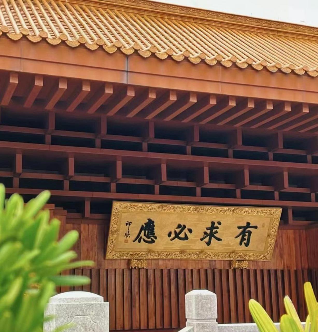 有求必应回放=有求必应2021最新一期回放