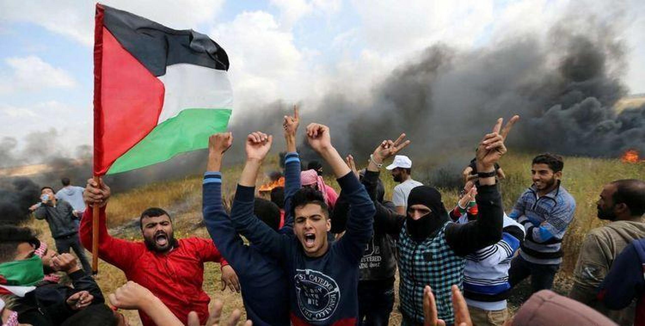 根据最新消息,叙利亚,约旦,巴勒斯坦和黎巴嫩已开始以各种形式对