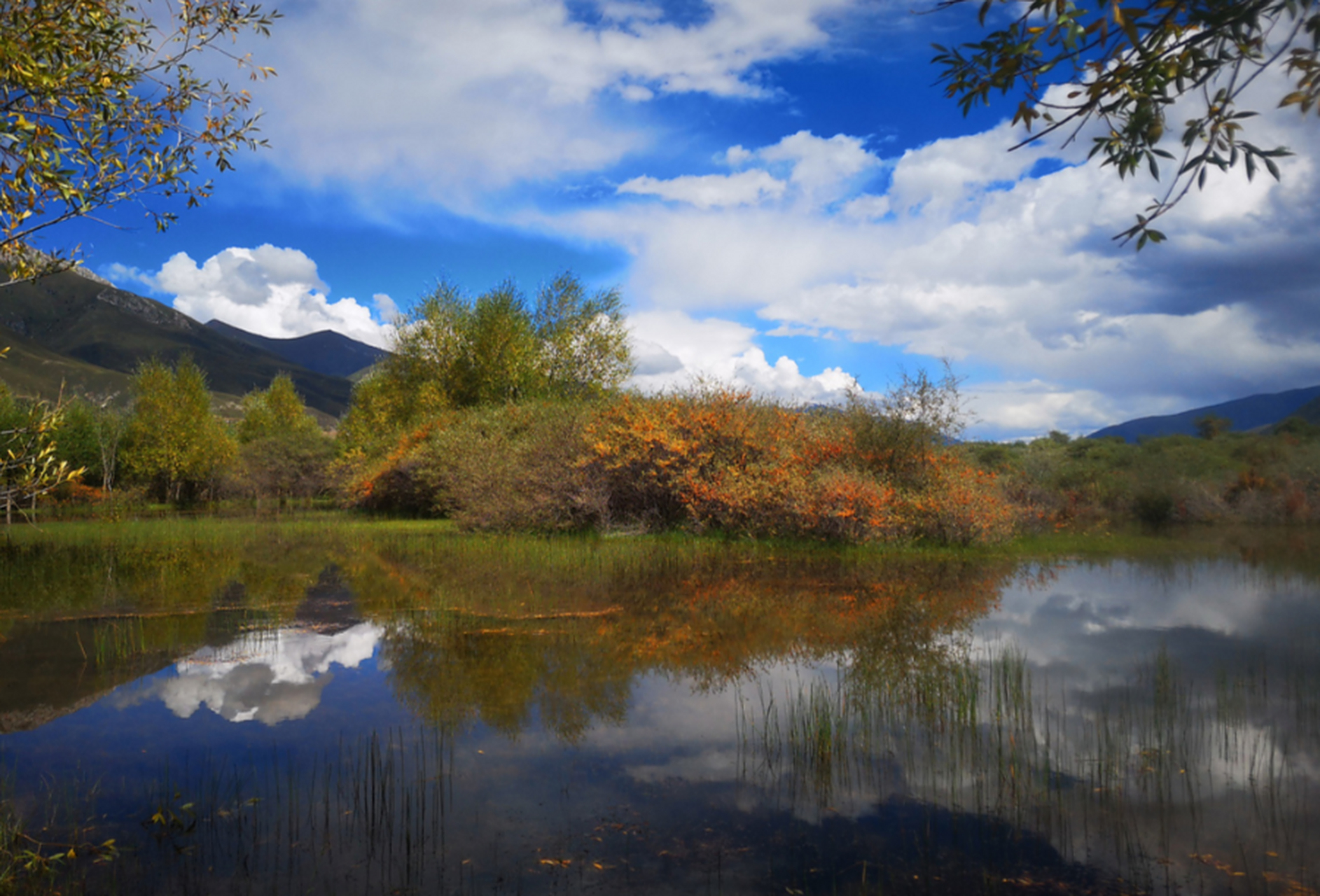 石渠邓玛湿地:位于四川甘孜州石渠县洛须镇境内,湿地总面积10180亩