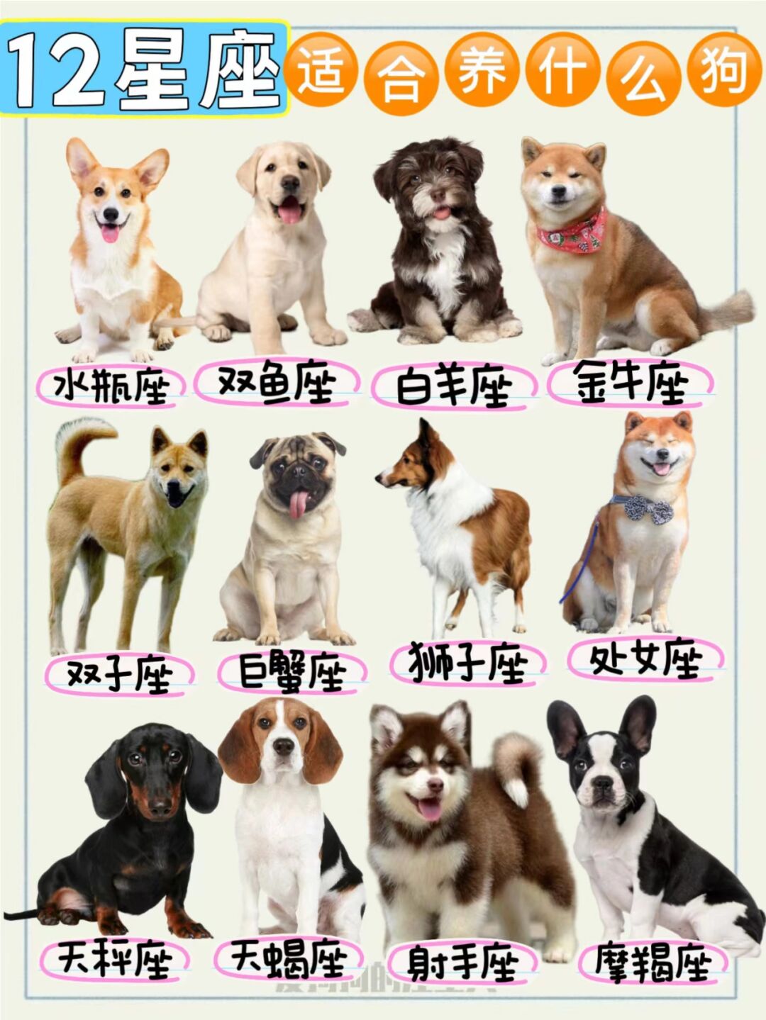 巨蟹生肖狗6月学业运势()