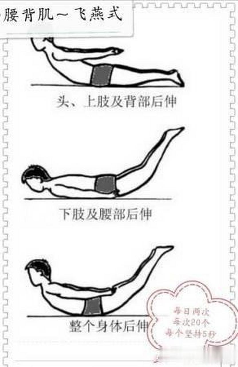 飞燕式锻炼怎么做?
