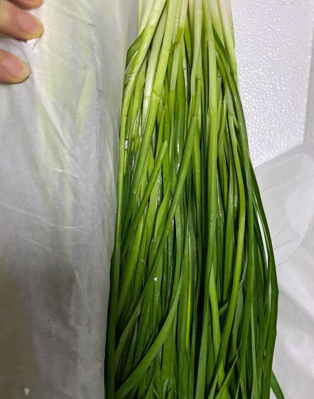 今天网购了三斤长白韭菜,有点像蒜苗,十多块一斤,不知道好不好吃,你们