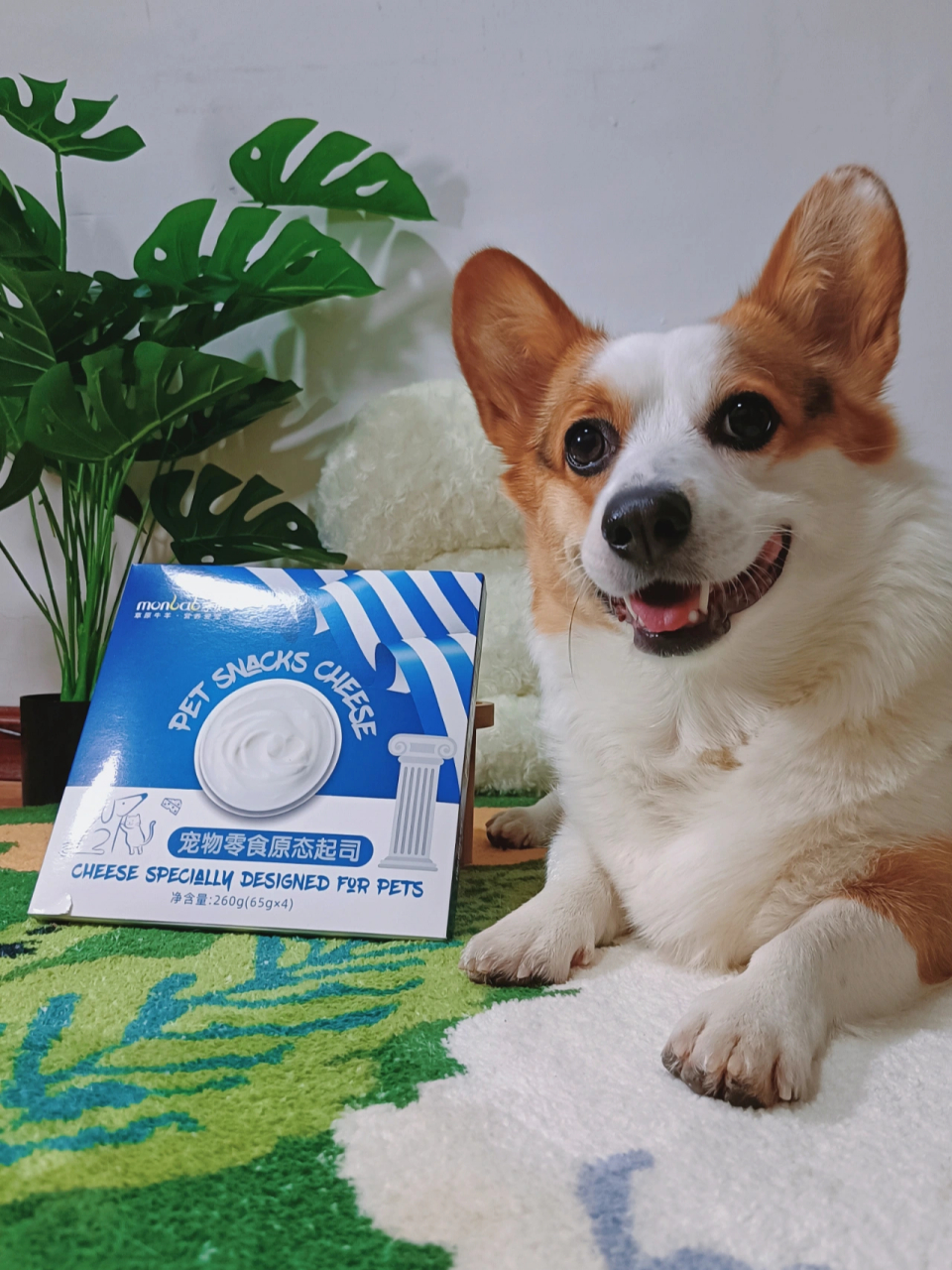 丝滑绵密的羊乳起司哪个毛孩子能拒绝?