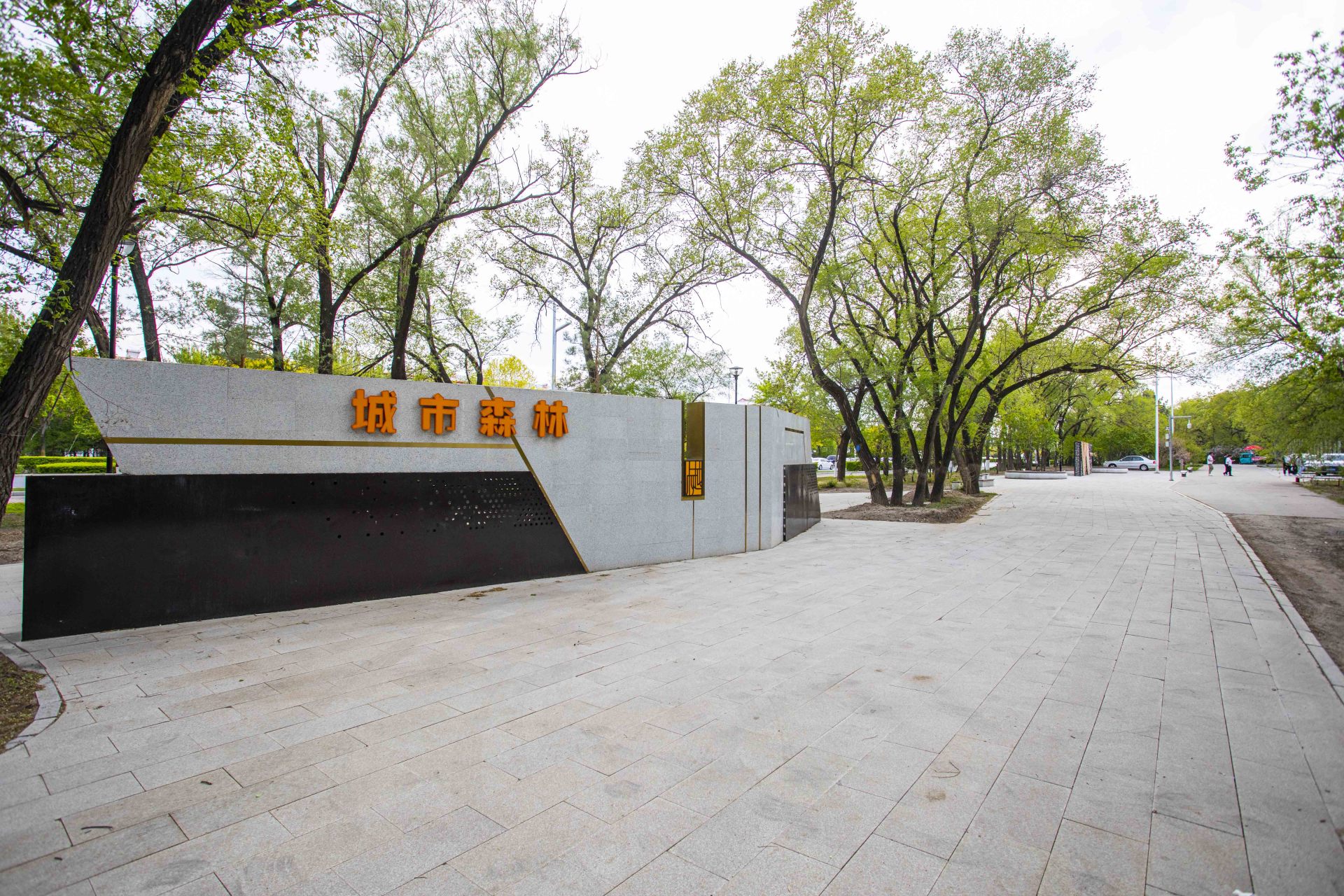 大庆百景推荐之三 城市森林(郁金香花开)