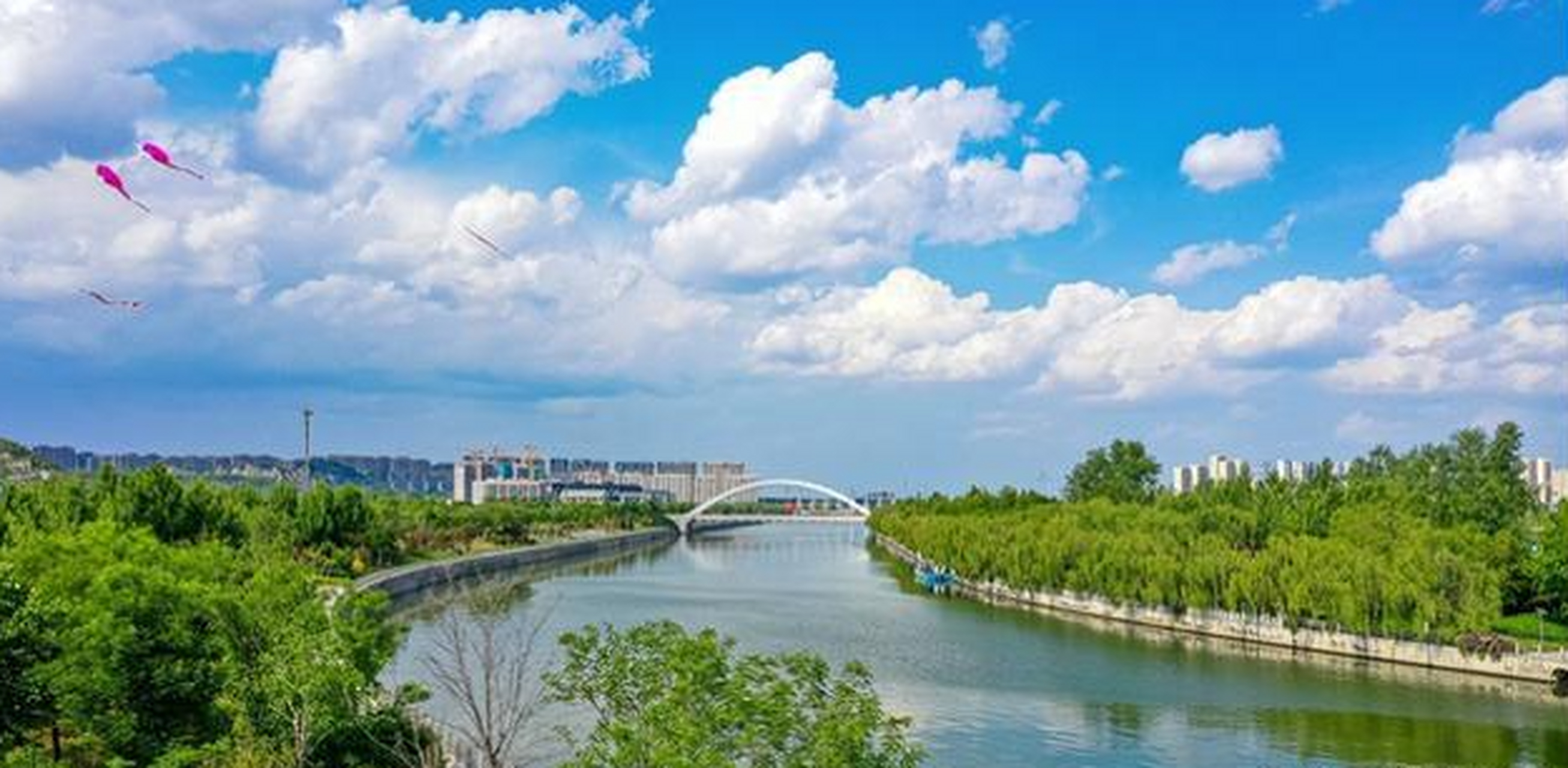 小清河的开挖和通航,与济南历史上一个颇为重要的人物刘豫有关.