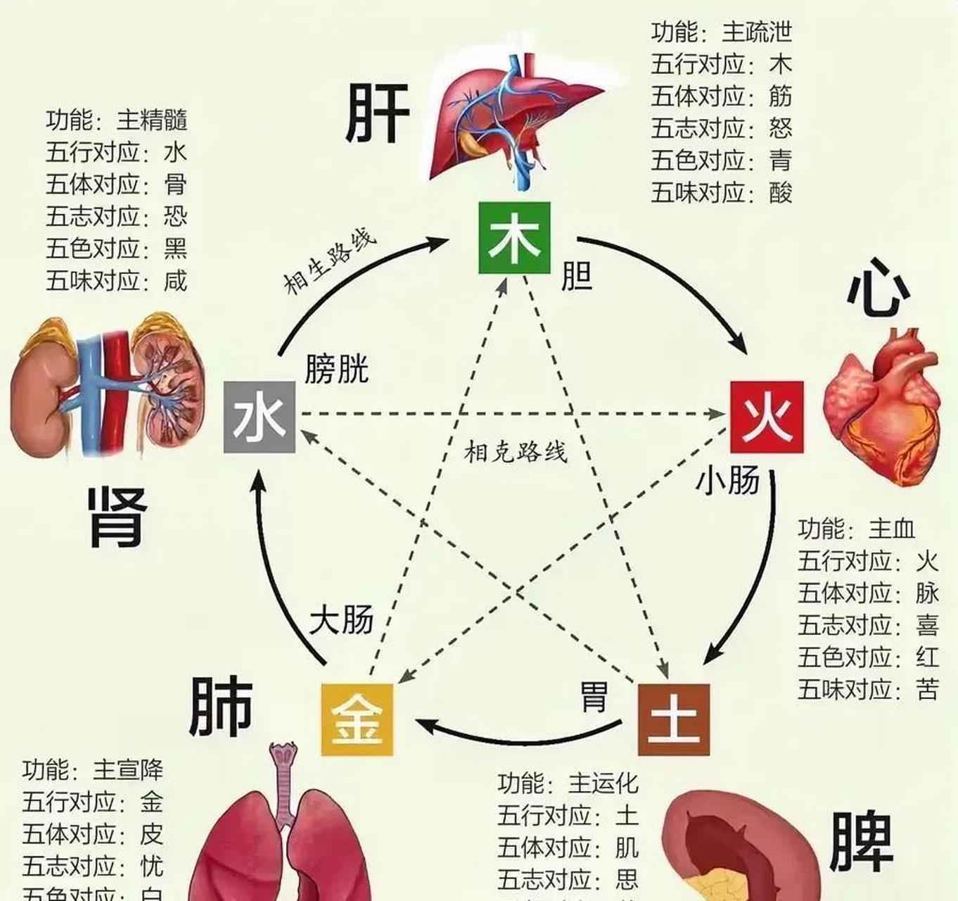 修正香砂胃苓丸下架图片