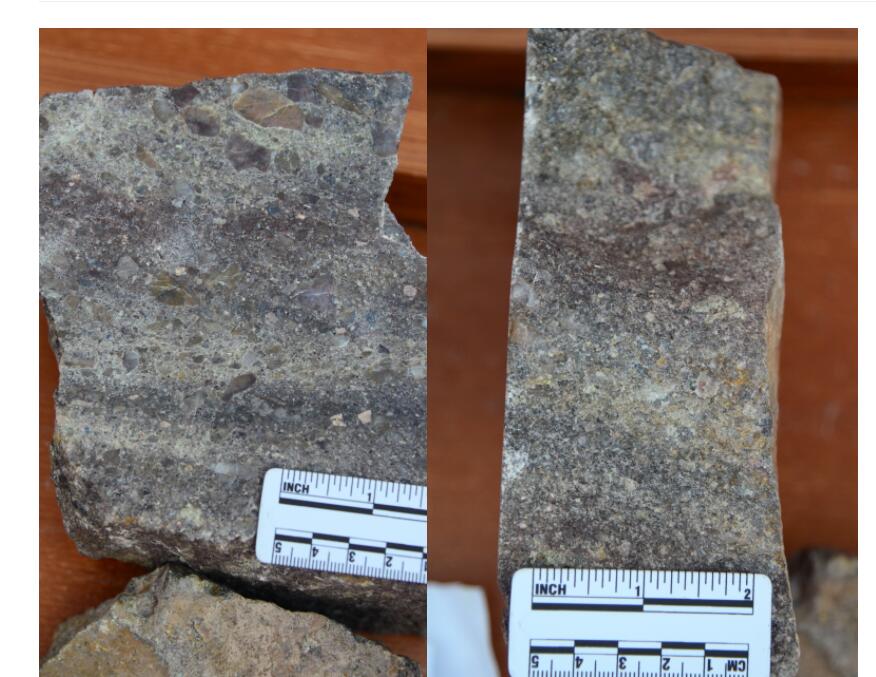 2 野外名称:中粗粒长石石英砂岩