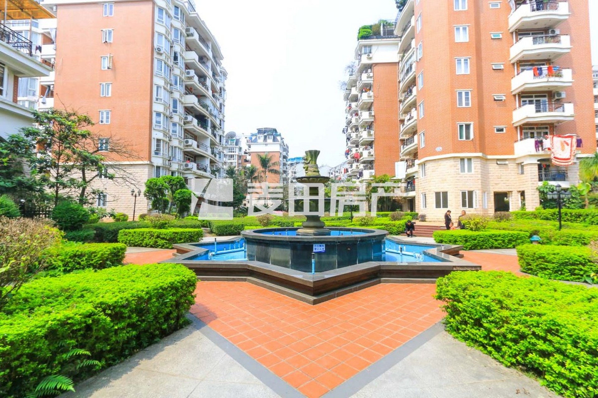 终究还是扛不住了,价格降到3万内——巴黎之春成交分析:  【巴黎之春