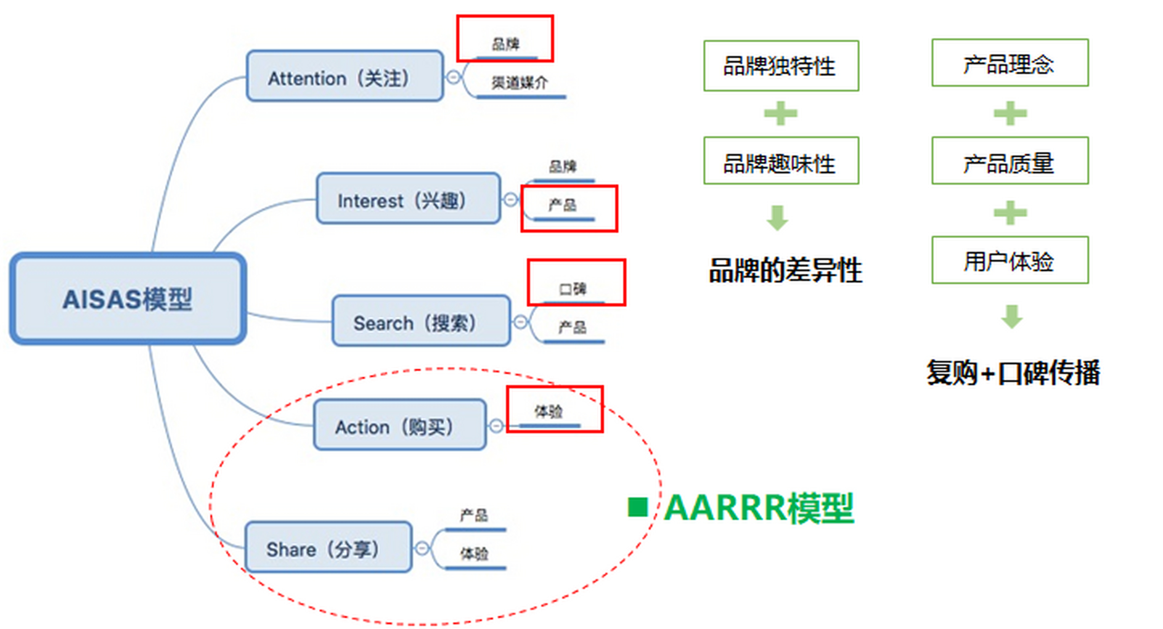 aisas模型图片