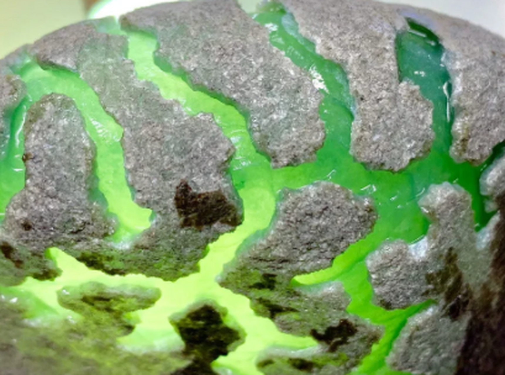 点击头像看直播##翡翠原石#全身打灯不变种,自然光下种老发黑,肉质