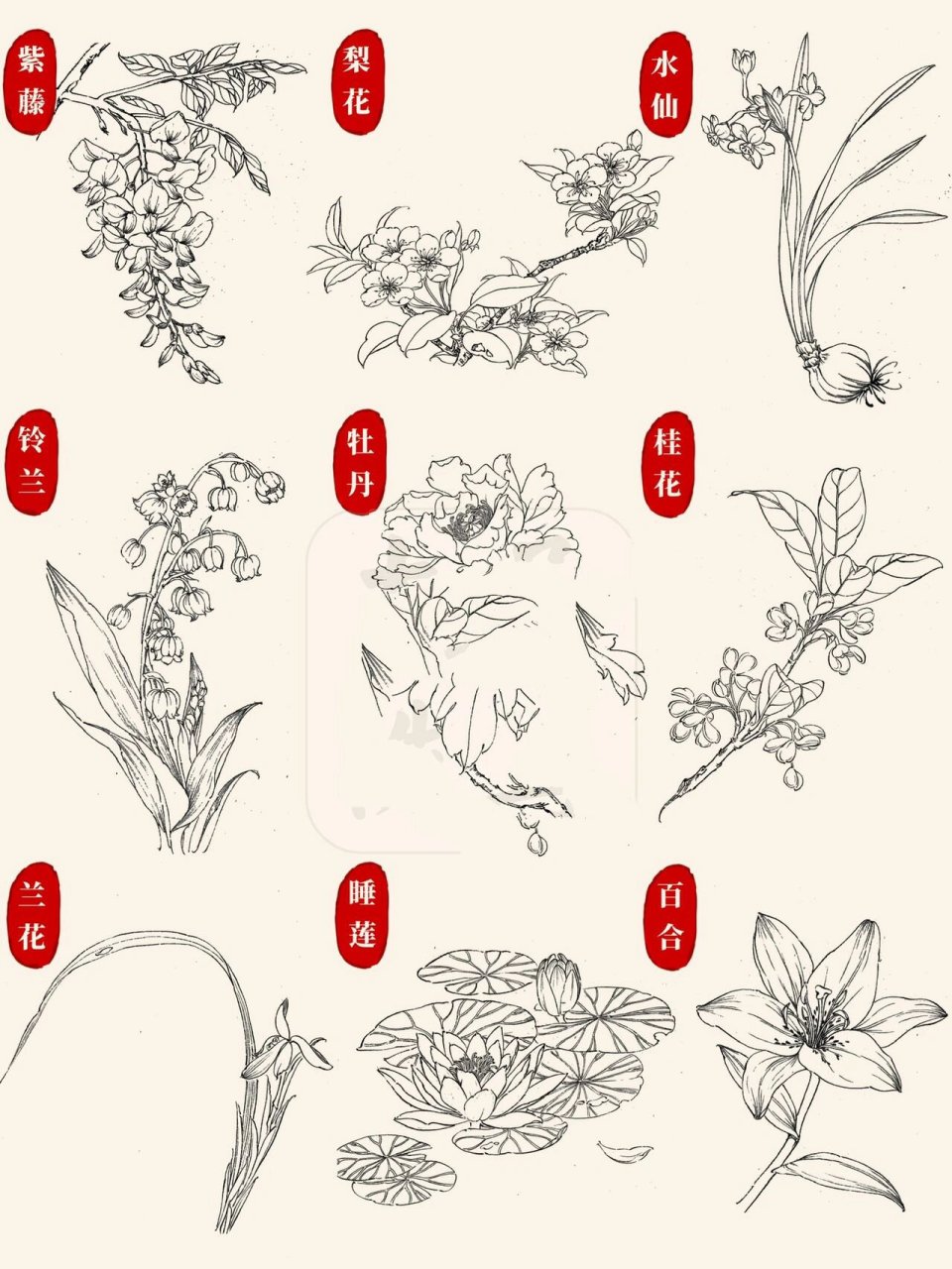 国画入门|94线描/白描花卉合集97第3弹6015	"98今天分享的