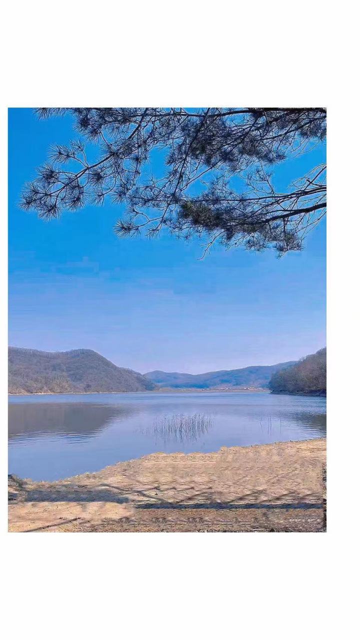 美好辽宁欢迎您# 开原大美松山欢迎您#网红打卡地辽宁杠杠滴