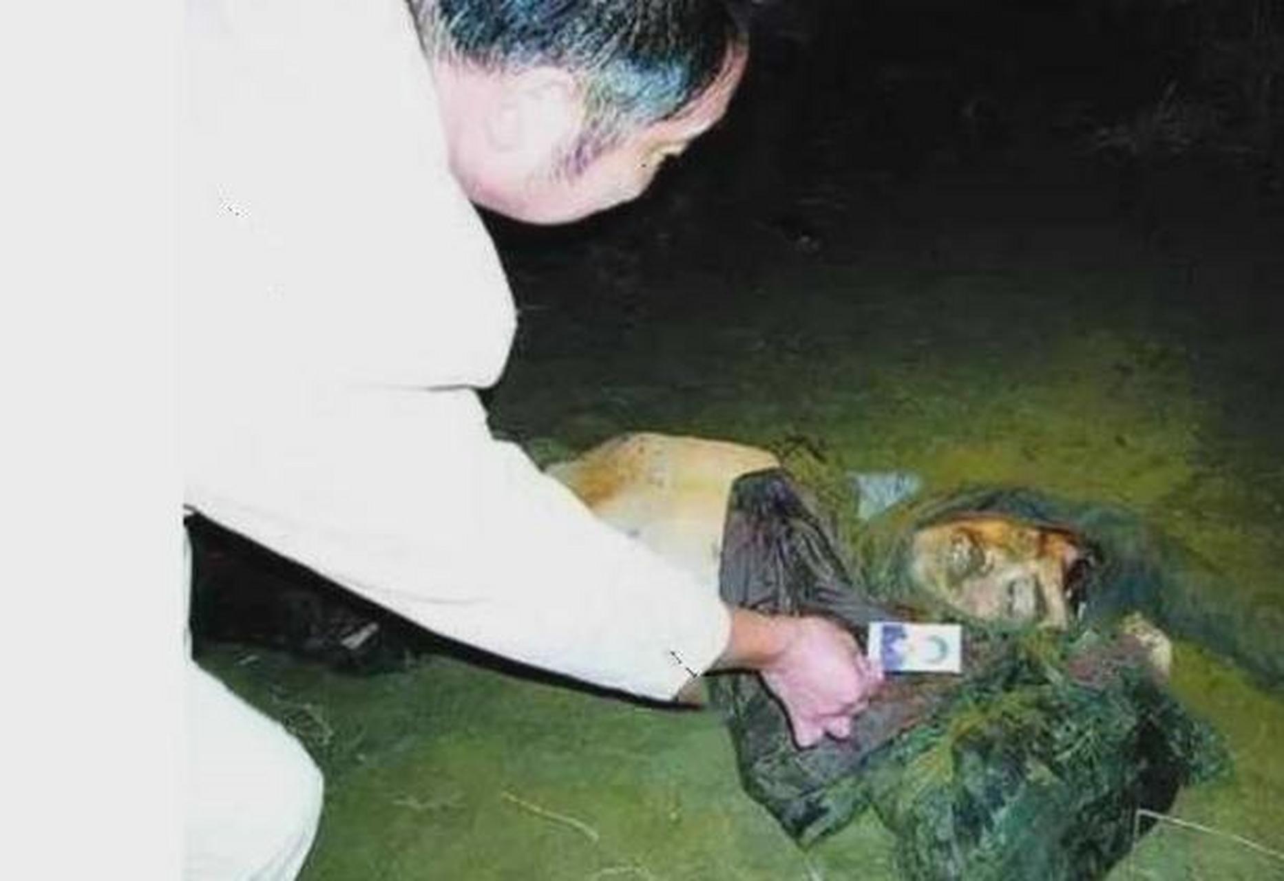 2003年,湖北第一悍匪谢先荣被击毙现场的一幕!