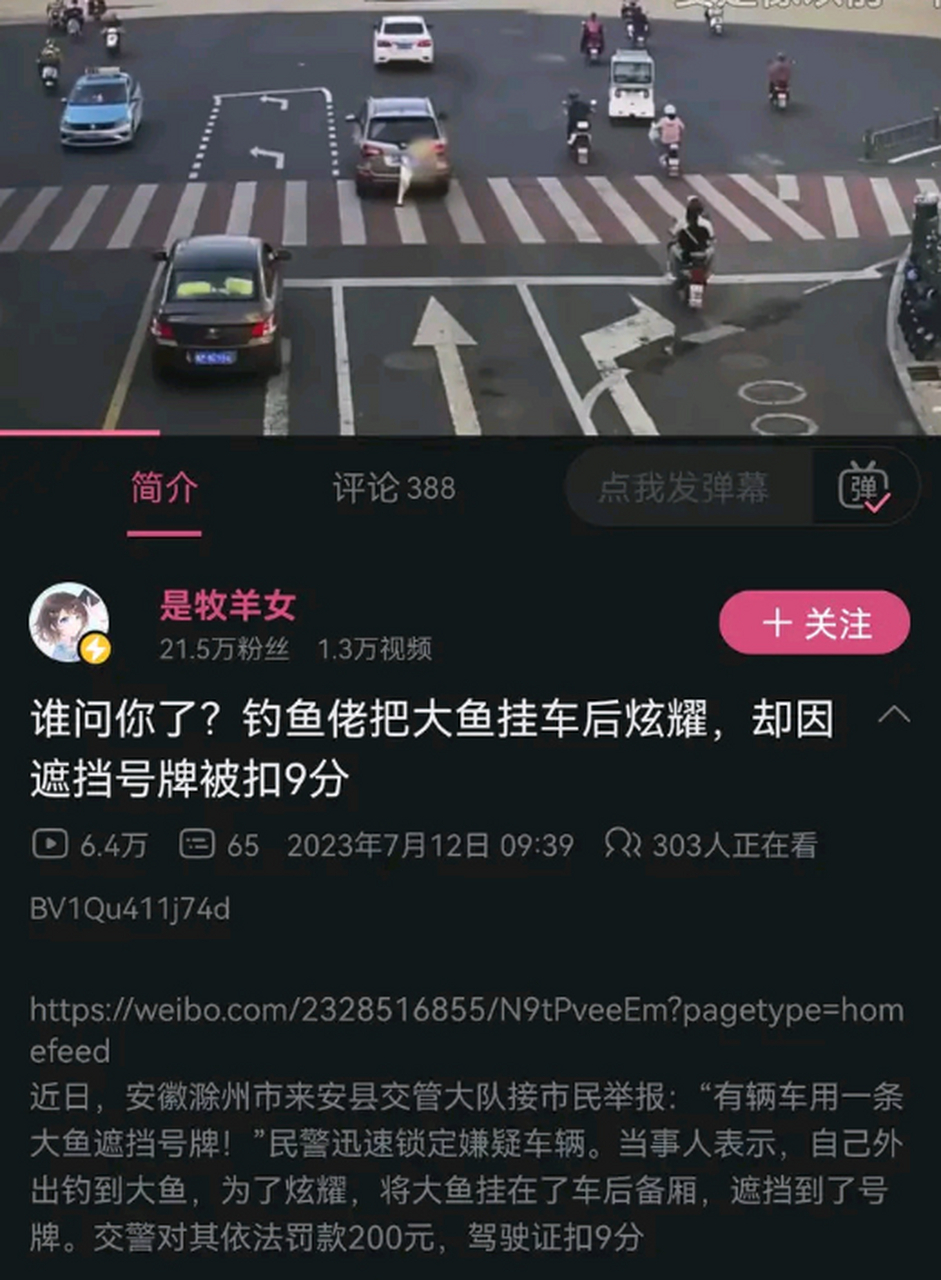 诡计多端的钓鱼佬,这下更多人知道他钓了条大鱼了 676767