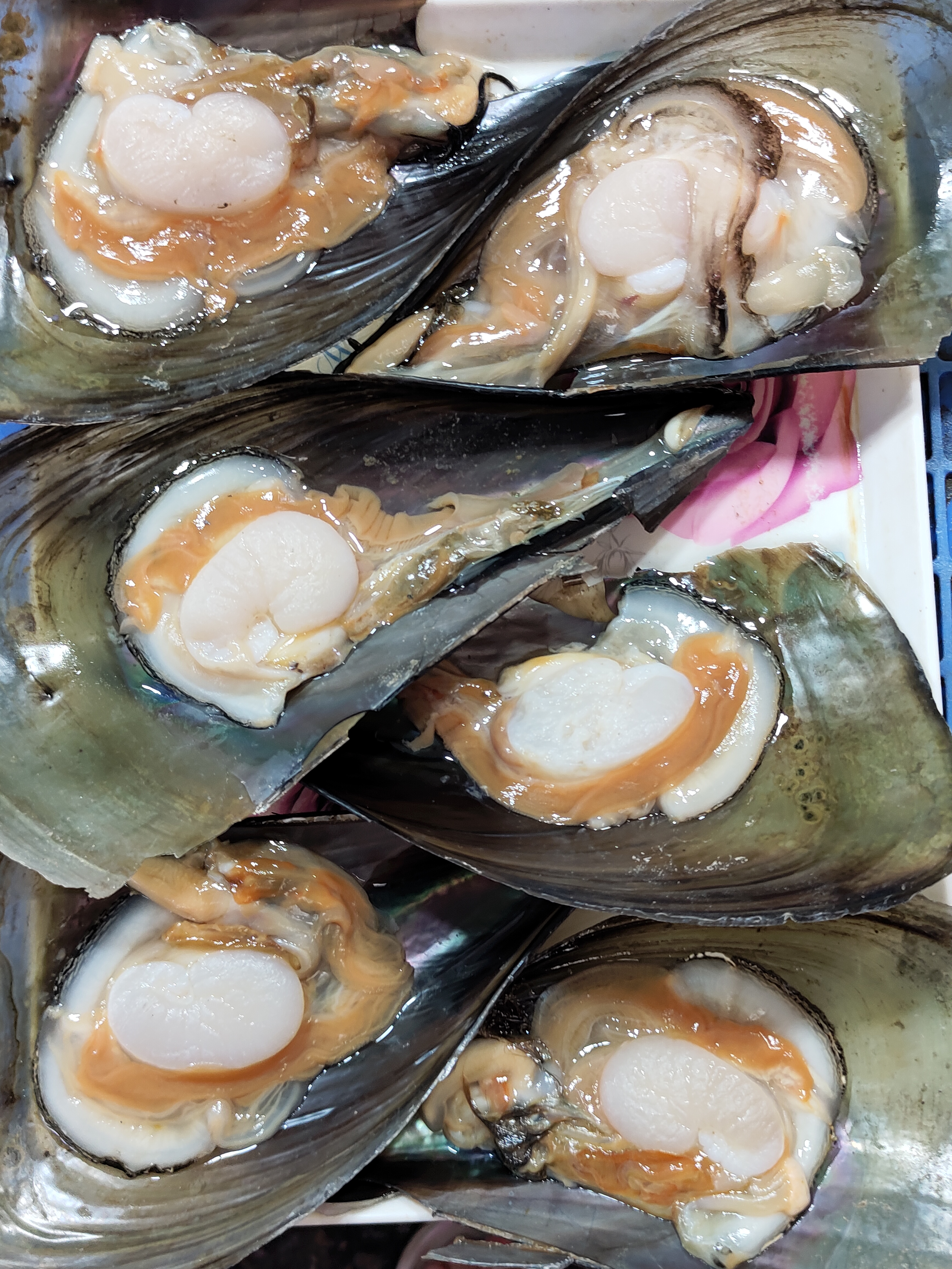 图中就是半只,而不是一只.带子的价格不贵,经常食10元三只.