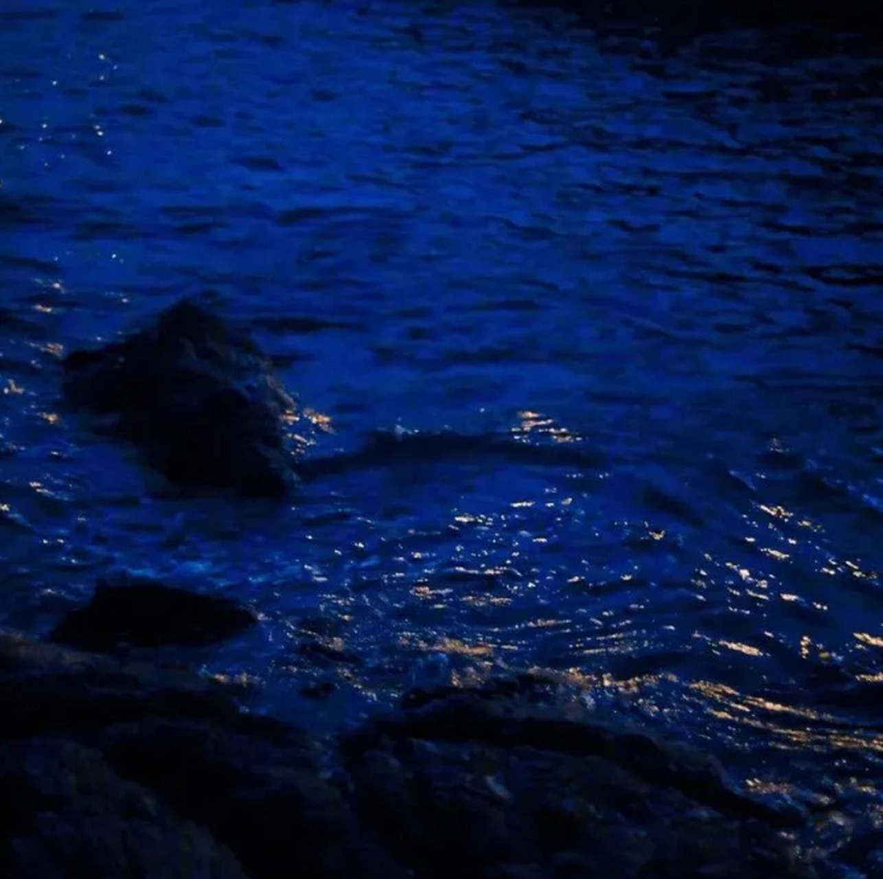 毕淑敏在《像烟灰一样松散》中写道:你要像烟灰一样松散.