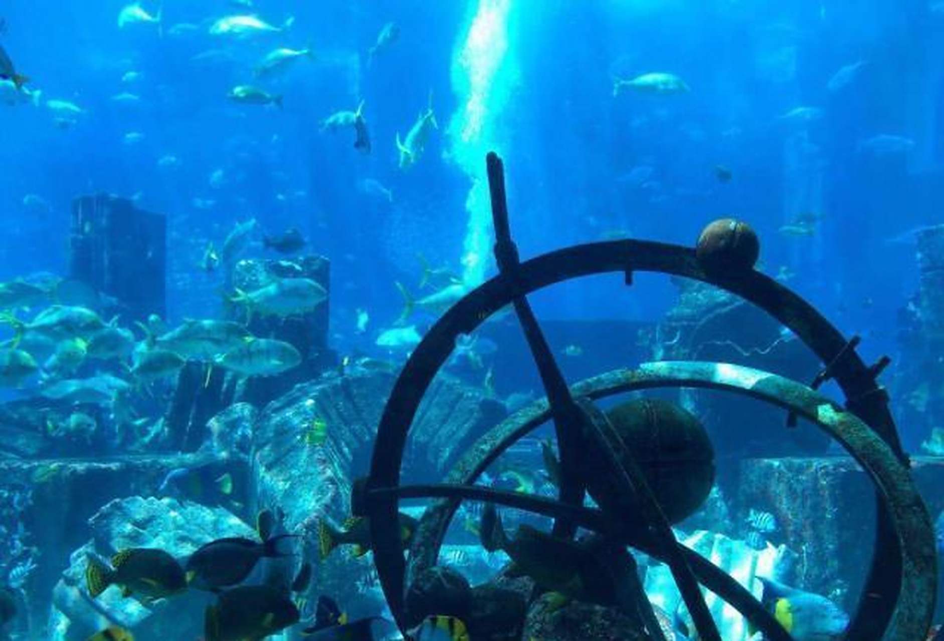 在浙江省杭州西郊淳安县境内,有一座闻名中外的千岛湖水库,该水库于