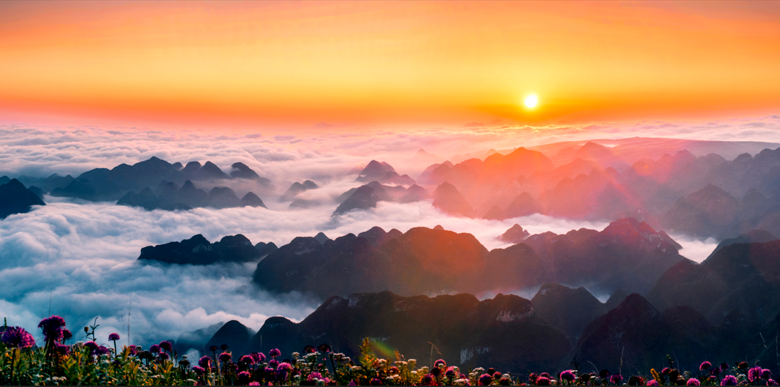 【10万亩云上花海正在绽放】目前,贵州毕节阿西里西旅游区已进入一年