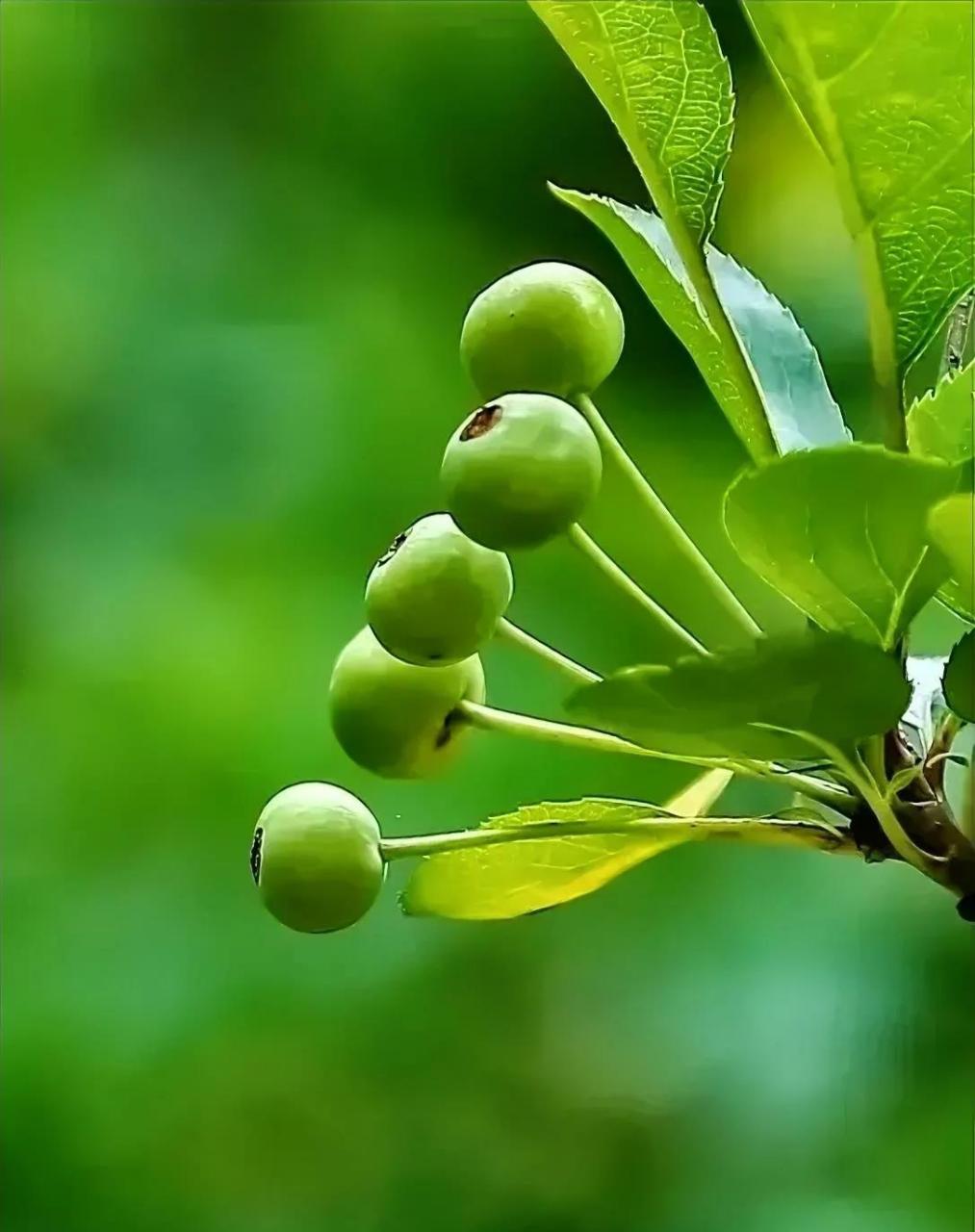 1013_1280竖版 竖屏