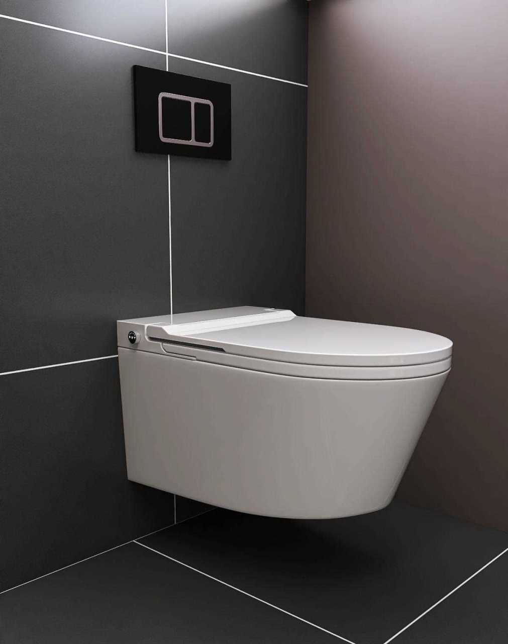 壁挂式智能马桶,顾名思义,就是挂在墙上的马桶,里面用嵌入式的铁架