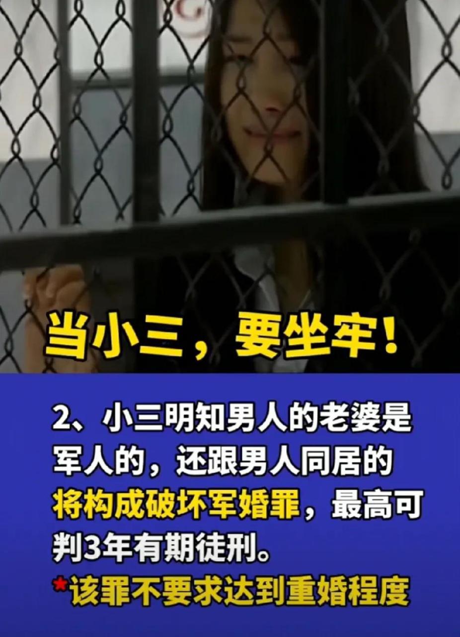 原配们注意了,当小三要坐牢了,请勇于拿起法律的武器手撕小三,一定要