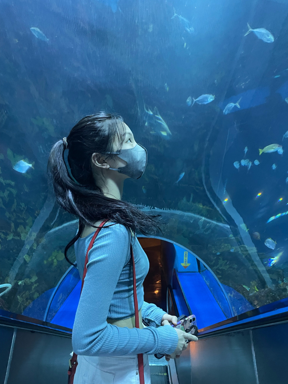 女神:alohomora_j 坐标:北京朝阳 学校:北京联合大学 身高体重:168/49