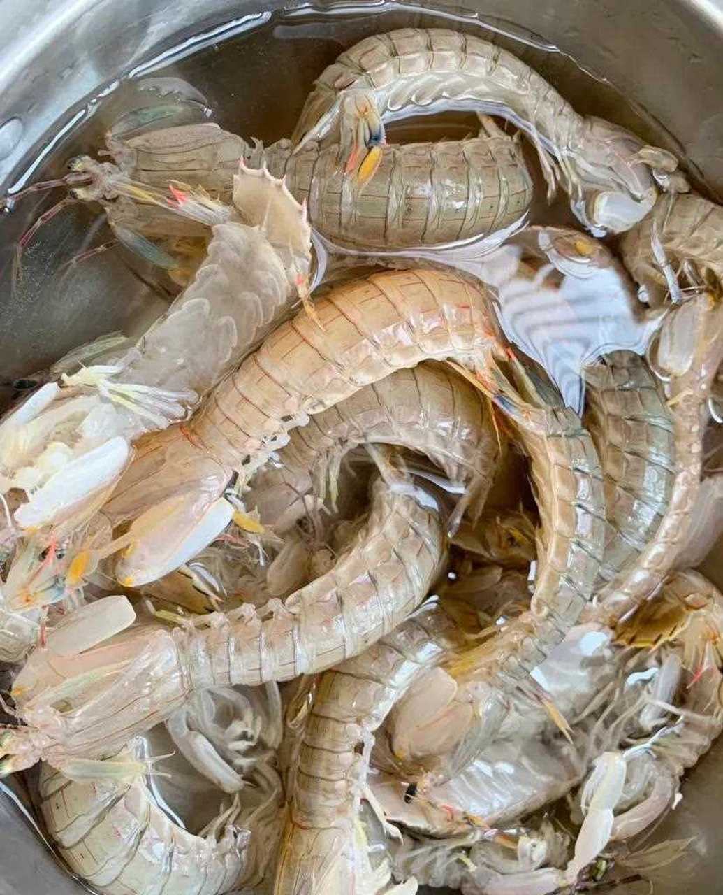 皮皮虾时光[国宝] 菜市场买了鲜活皮皮虾,花了65块钱,一斤多点,不知道