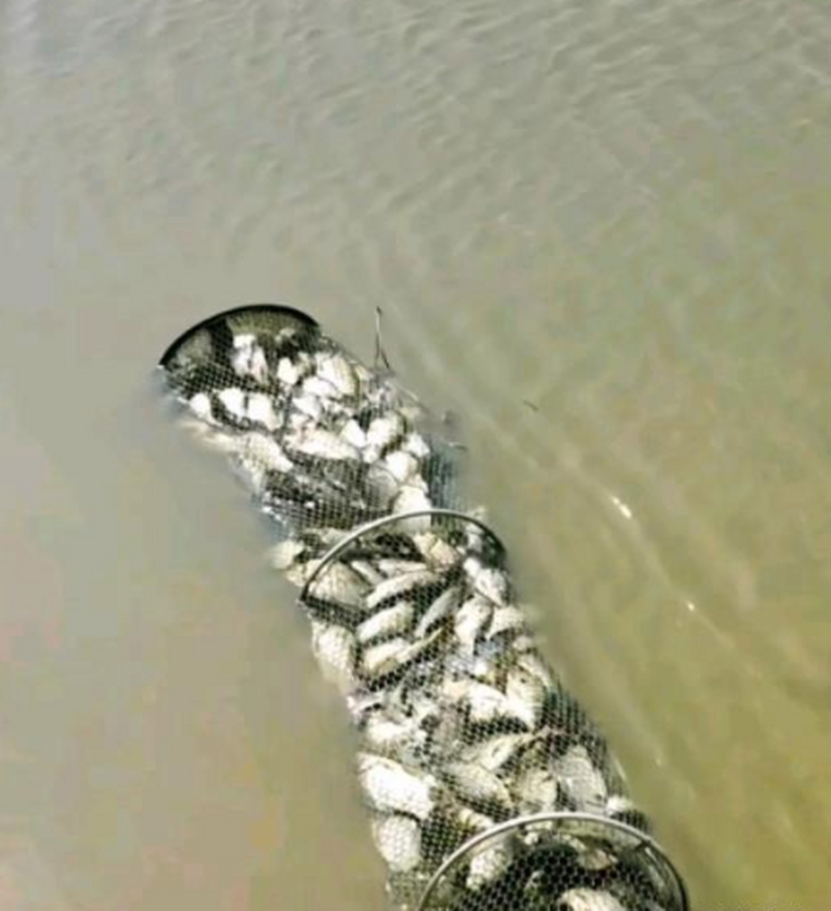 出去钓鱼被抓了,这种情况严重吗